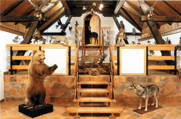 Snežnik hunter's collection